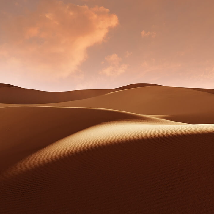 Image of Sand Dunes at Sunset